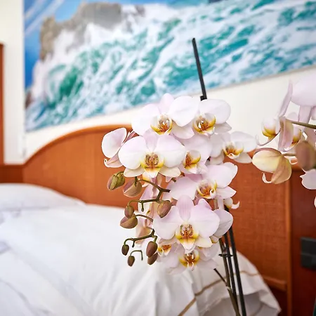 酒店 克罗齐迪马耳他酒店