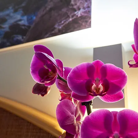 克罗齐迪马耳他酒店 酒店 3*